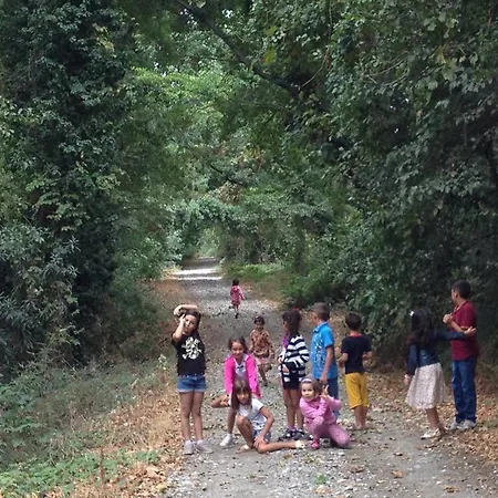 Yesil Bahce Bungalow - Ahsap Evler مزرعة للإقامة فتحية