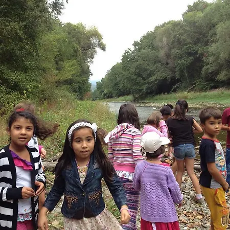 Yesil Bahce Bungalow - Ahsap Evler مزرعة للإقامة *