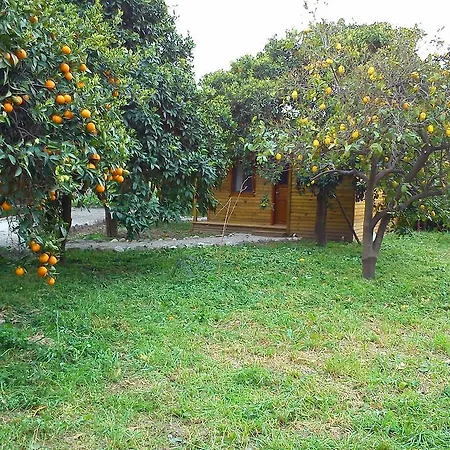 Lantgård Yesil Bahce Bungalow - Ahsap Evler