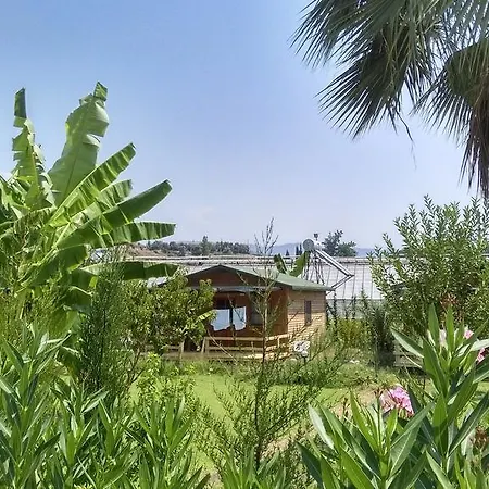 Yesil Bahce Bungalow - Ahsap Evler فتحية