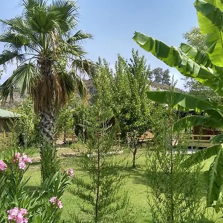 مزرعة للإقامة Yesil Bahce Bungalow - Ahsap Evler