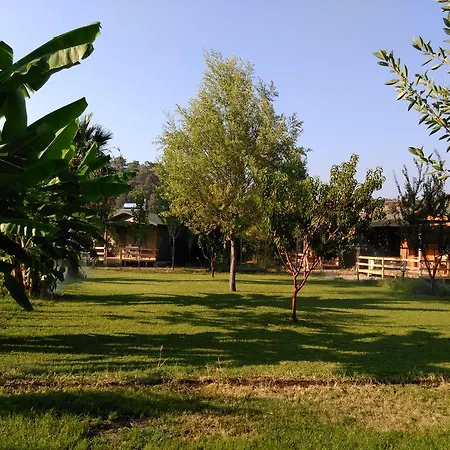 مزرعة للإقامة Yesil Bahce Bungalow - Ahsap Evler *