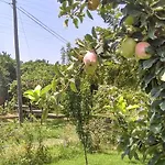 Yesil Bahce Bungalow - Ahsap Evler