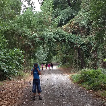 Yesil Bahce Bungalow - Ahsap Evler