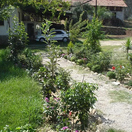 Farma Yesil Bahce Bungalow - Ahsap Evler *