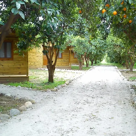 Yesil Bahce Bungalow - Ahsap Evler