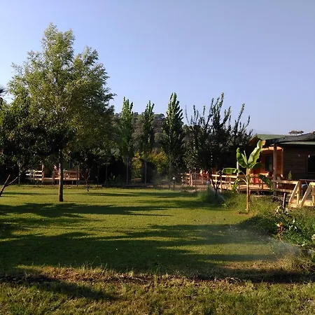 Farma Yesil Bahce Bungalow - Ahsap Evler Fethiye
