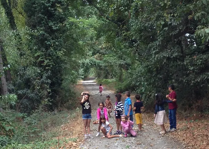 Yesil Bahce Bungalow - Ahsap Evler Farma Fethiye