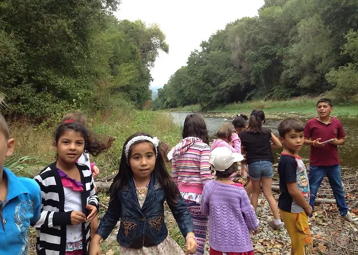 Yesil Bahce Bungalow - Ahsap Evler Farma *