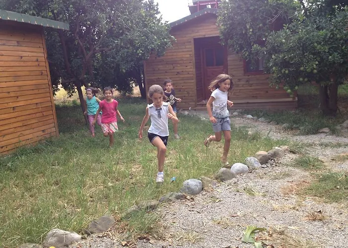 Farma Yesil Bahce Bungalow - Ahsap Evler