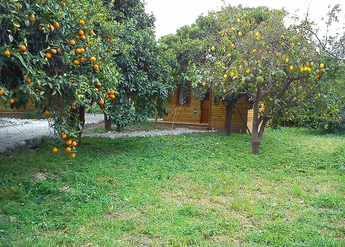 Farma Yesil Bahce Bungalow - Ahsap Evler