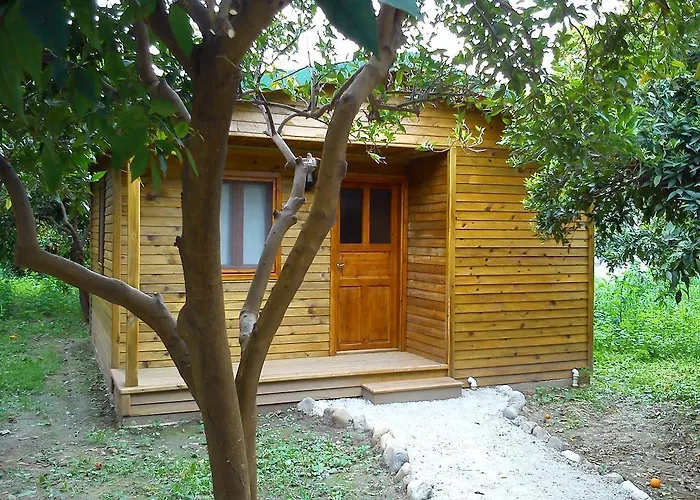 Yesil Bahce Bungalow - Ahsap Evler