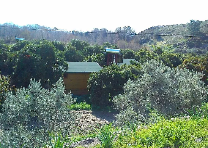 Farma Yesil Bahce Bungalow - Ahsap Evler