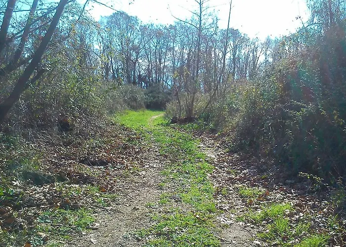 Farma Yesil Bahce Bungalow - Ahsap Evler