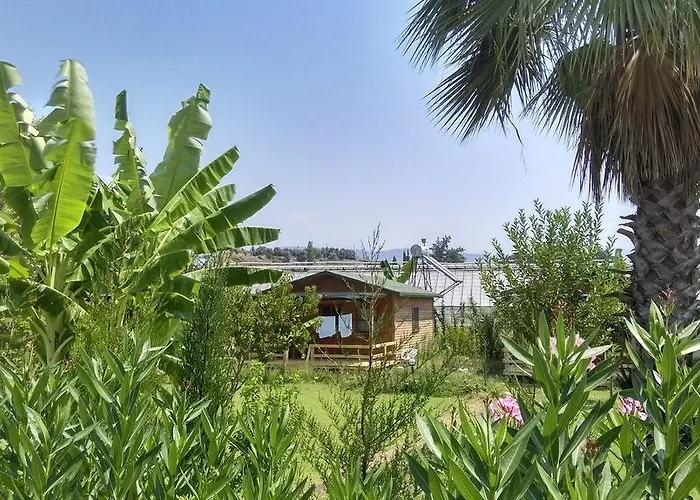 Yesil Bahce Bungalow - Ahsap Evler Fethiye