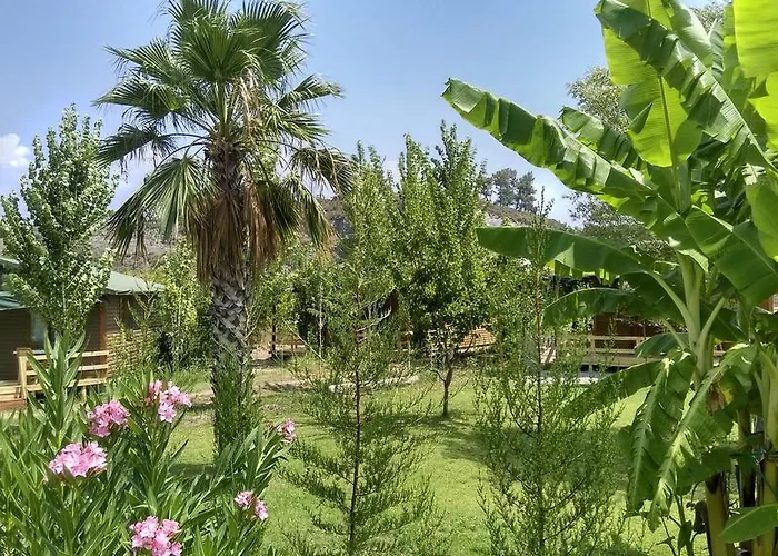 Farma Yesil Bahce Bungalow - Ahsap Evler