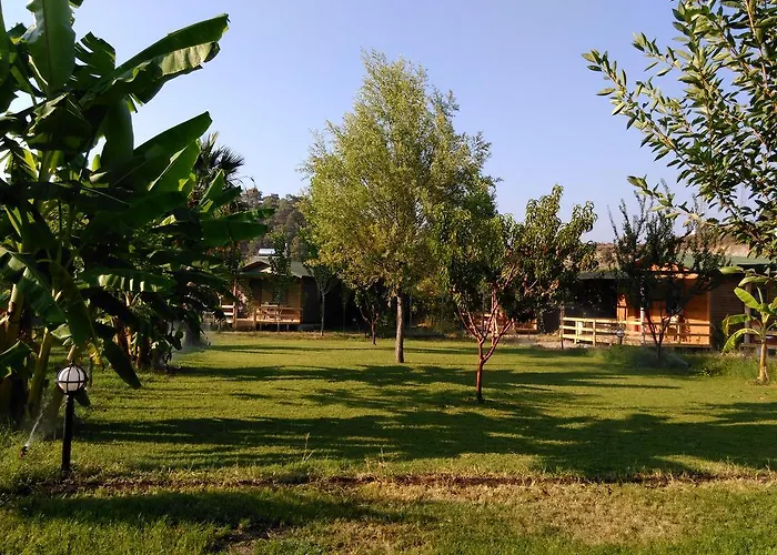 Farma Yesil Bahce Bungalow - Ahsap Evler *