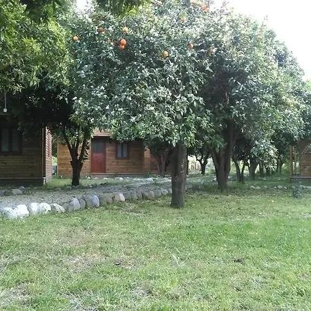 Yesil Bahce Bungalow - Ahsap Evler *