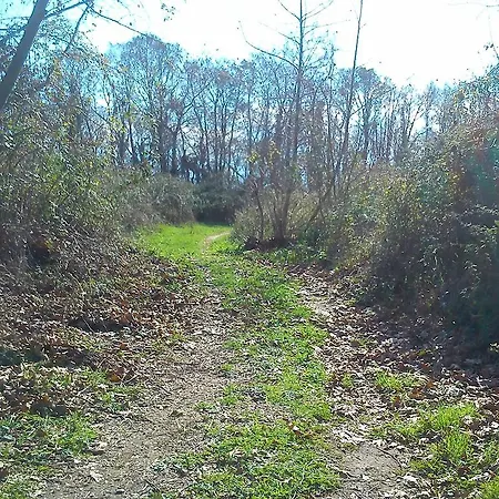 ファームステイ Yesil Bahce Bungalow - Ahsap Evler