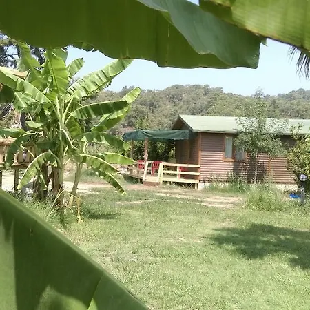 ファームステイ Yesil Bahce Bungalow - Ahsap Evler フェティエ